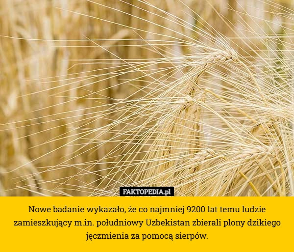 
    Nowe badanie wykazało, że co najmniej 9200 lat temu ludzie zamieszkujący