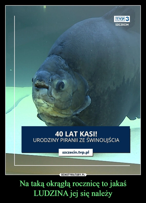 Na taką okrągłą rocznicę to jakaś LUDZINA jej się należy