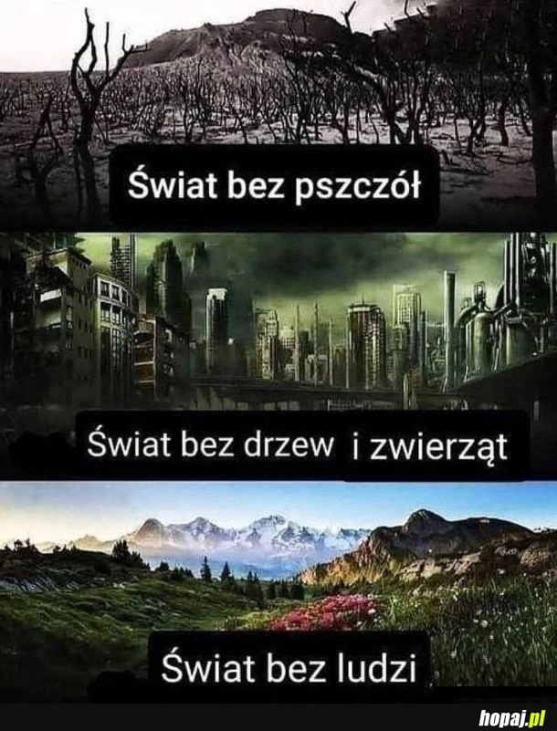 
    Jesteśmy niezbędni