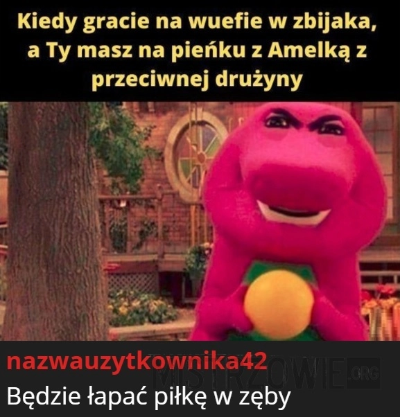 
    Zbijak