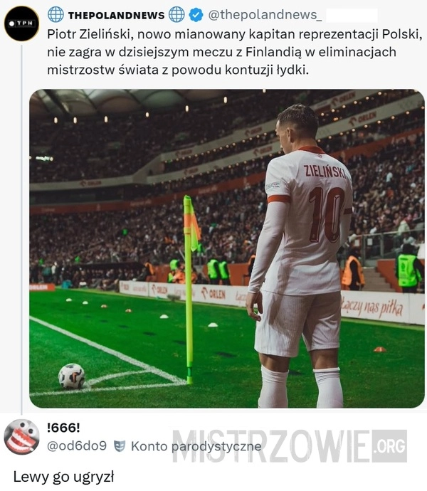 
    Reprezentacja