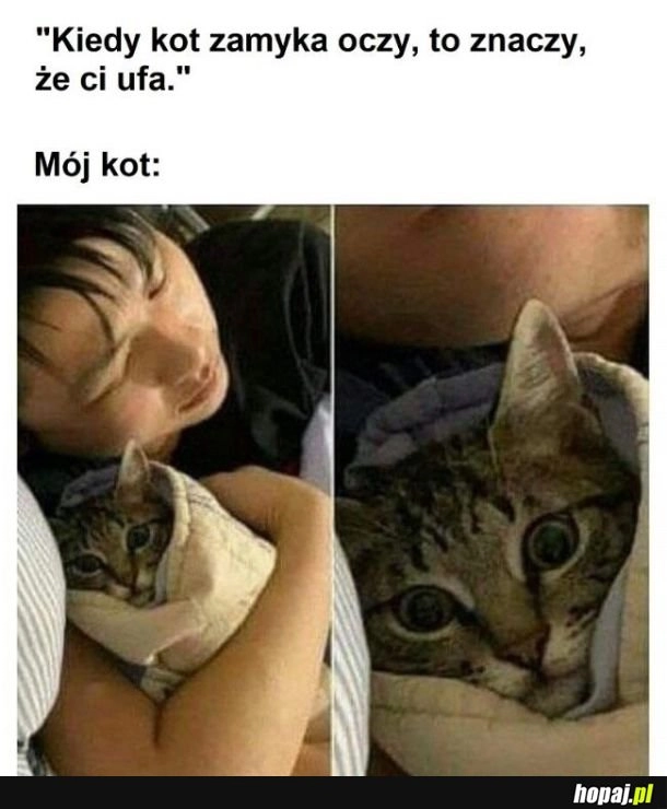 
    Zaufanie