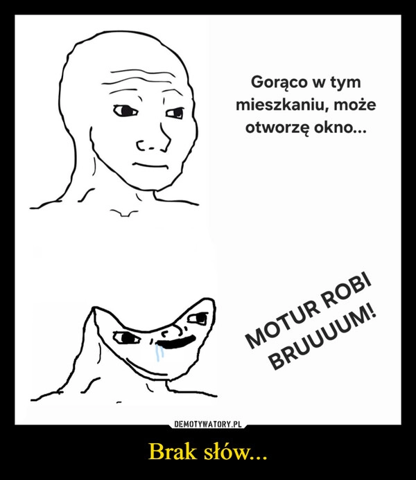 
    Brak słów...