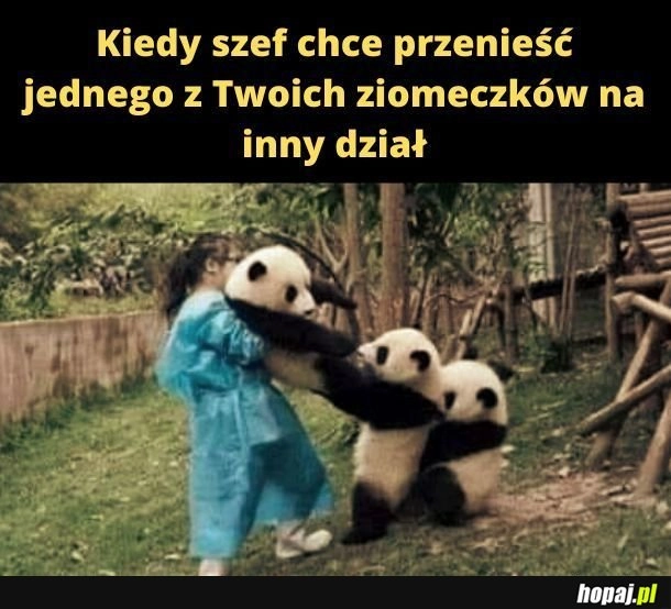 
    Ziomeczek