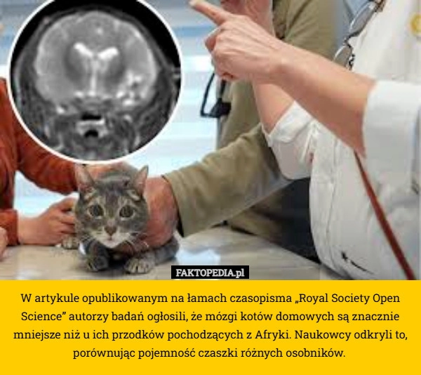 
     W artykule opublikowanym na łamach czasopisma „Royal Society Open Science”