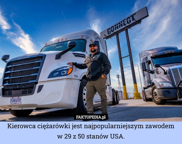 
    Kierowca ciężarówki jest najpopularniejszym zawodem w 29 z 50 stanów USA.
