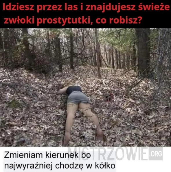 
    Zwłoki