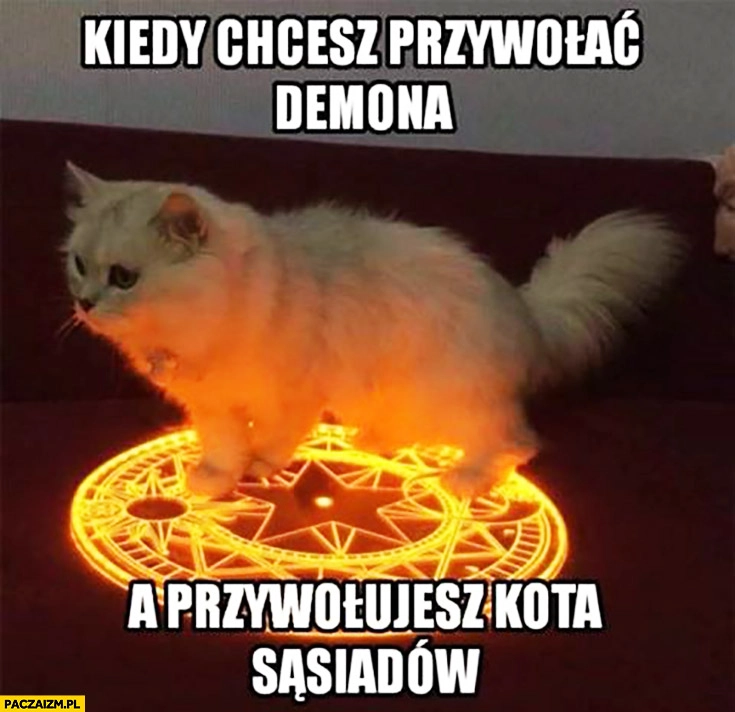 
    Kiedy chcesz przywołać demona a przywołujesz kota sąsiadów