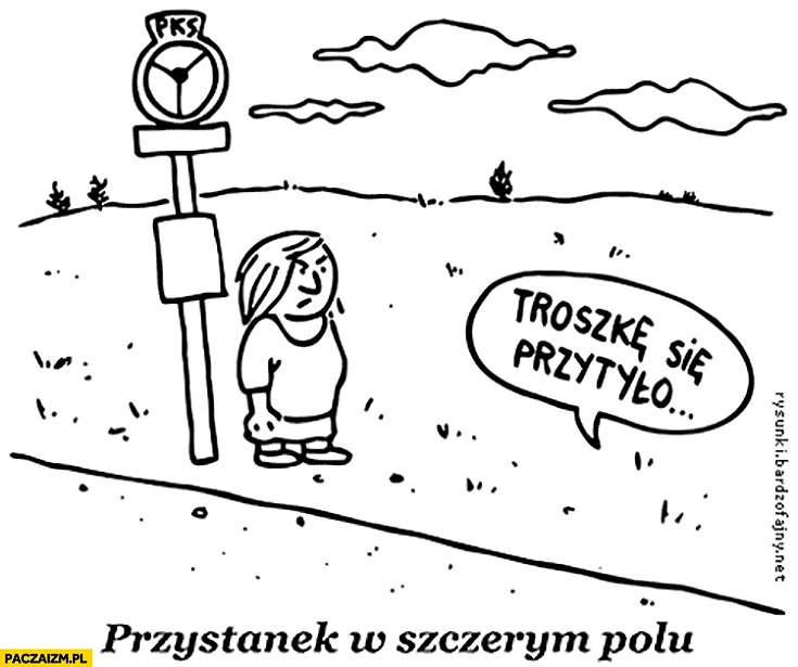 
    Przystanek w szczerym polu troszkę się przytyło