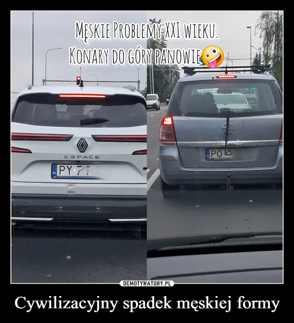 
    Cywilizacyjny spadek męskiej formy