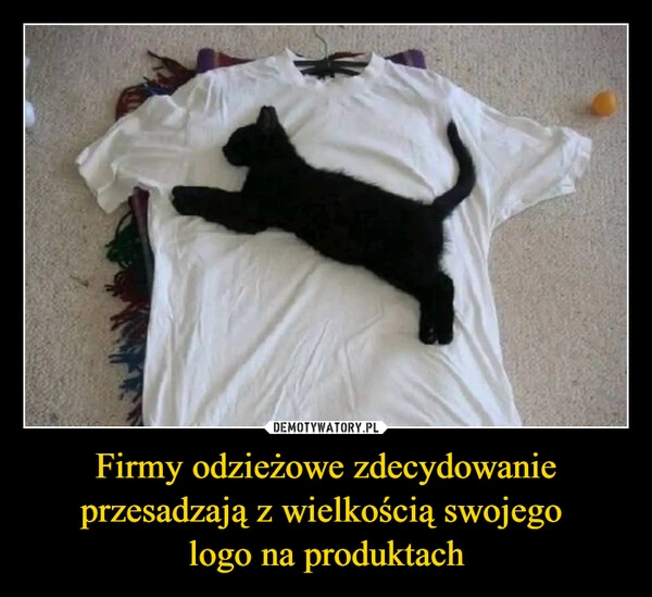 
    Firmy odzieżowe zdecydowanie przesadzają z wielkością swojego 
logo na produktach