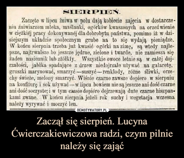 
    Zaczął się sierpień. Lucyna Ćwierczakiewiczowa radzi, czym pilnie należy się zająć
