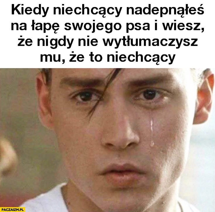 
    Kiedy niechcący nadepnąłeś na łapę swojego psa i wiesz, że nigdy mu nie wytłumaczysz, że to niechcący Johnny Depp placze