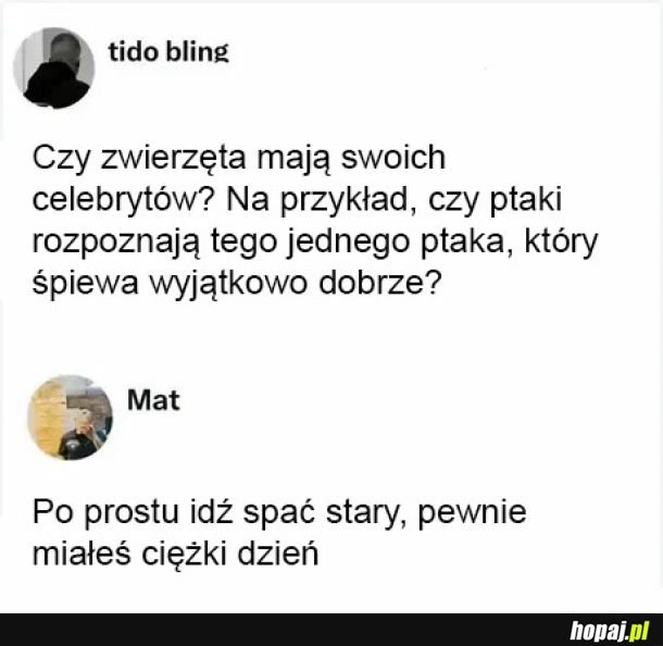 Dobre pytanie