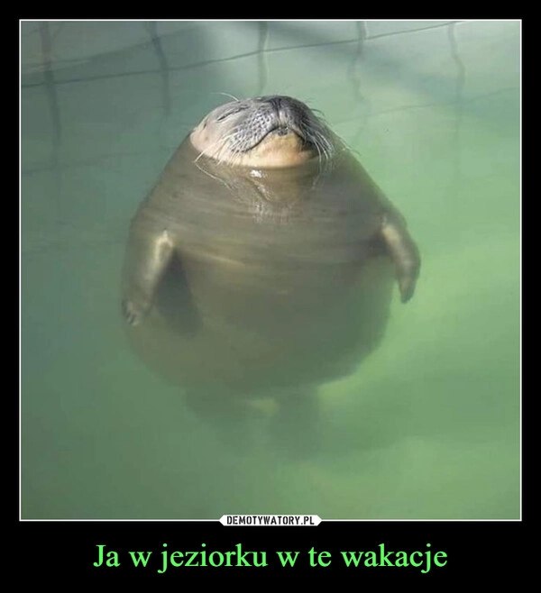 
    Ja w jeziorku w te wakacje