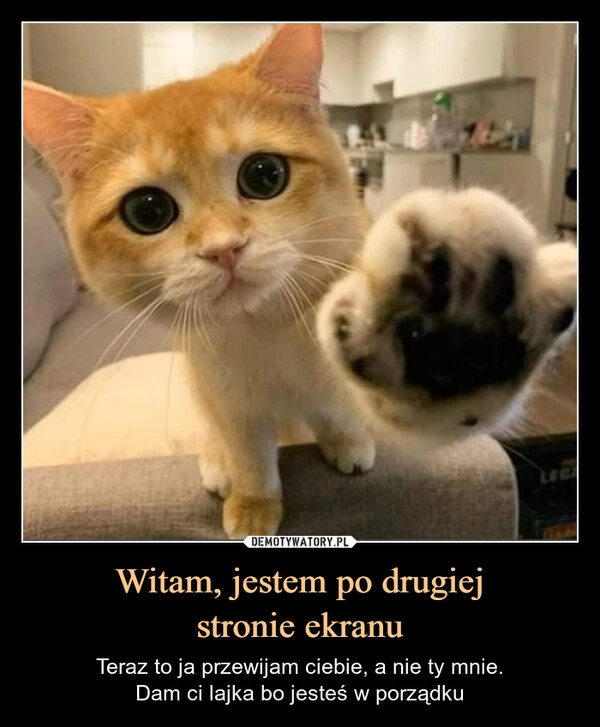 
    Witam, jestem po drugiej
stronie ekranu