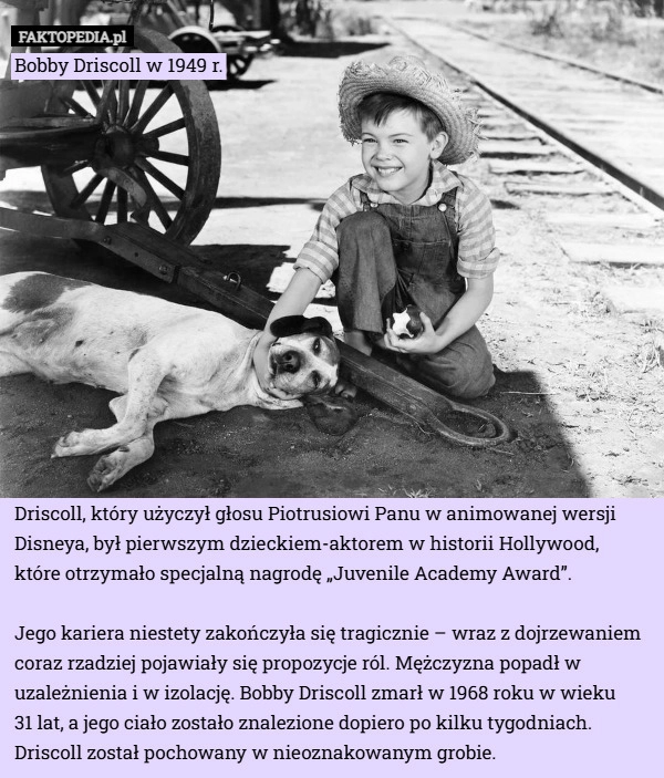 
    Bobby Driscoll w 1949 r.Driscoll, który użyczył głosu Piotrusiowi...