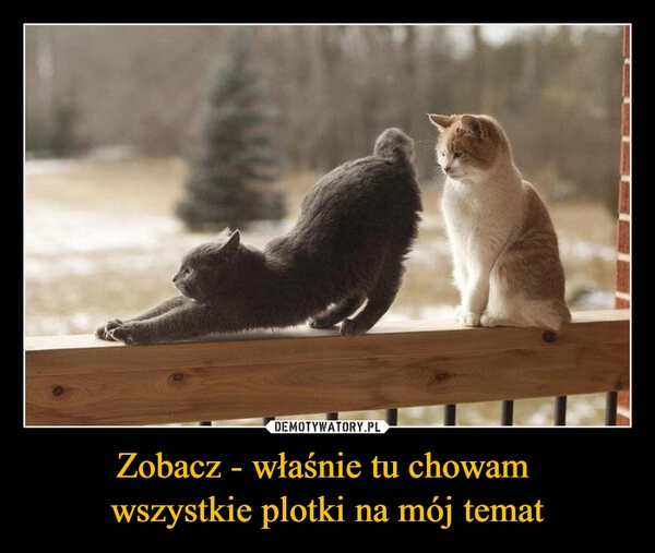 Zobacz - właśnie tu chowam 
wszystkie plotki na mój temat
