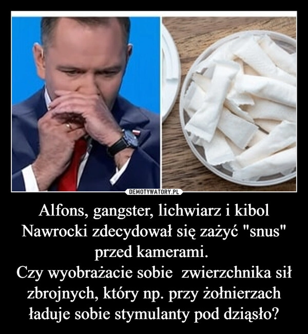 
    Alfons, gangster, lichwiarz i kibol Nawrocki zdecydował się zażyć "snus" przed kamerami. 
Czy wyobrażacie sobie  zwierzchnika sił zbrojnych, który np. przy żołnierzach ładuje sobie stymulanty pod dziąsło?