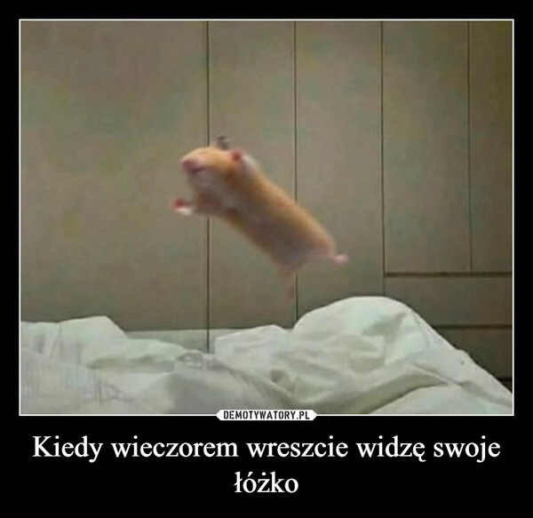 Kiedy wieczorem wreszcie widzę swoje łóżko