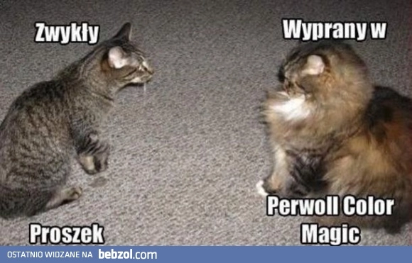 Zwykły proszek Vs Perwoll