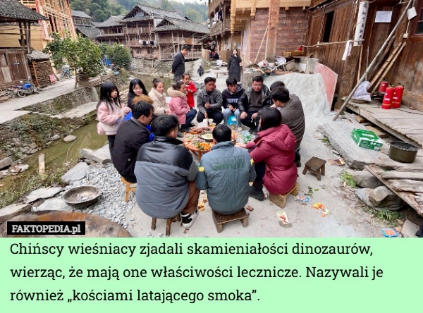
    Chińscy wieśniacy zjadali skamieniałości dinozaurów, wierząc, że mają one