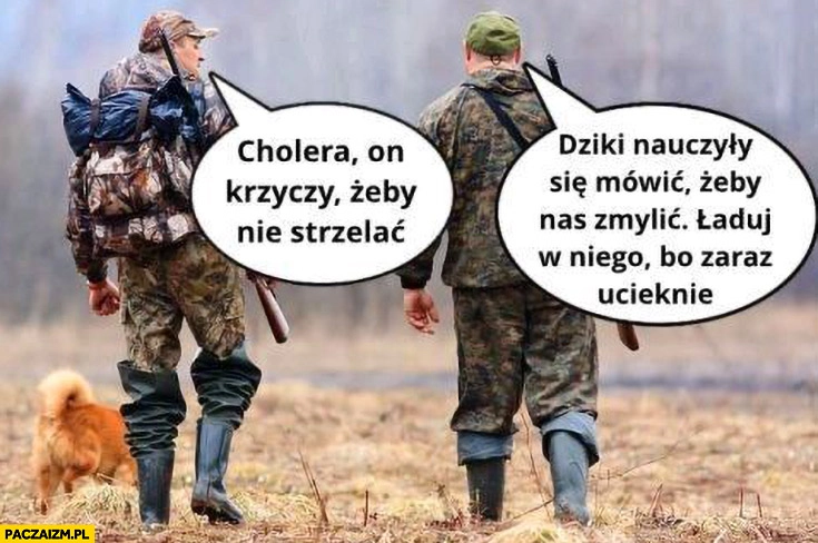 Myśliwi cholera on krzyczy żeby nie strzelać, dziki nauczyły się mówić żeby nas zmylić, ładuj w niego bo zaraz ucieknie
