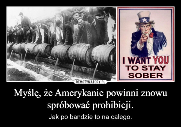 
    Myślę, że Amerykanie powinni znowu spróbować prohibicji.