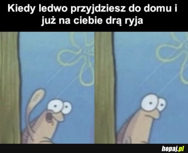 I to by było na tyle dobrego humoru