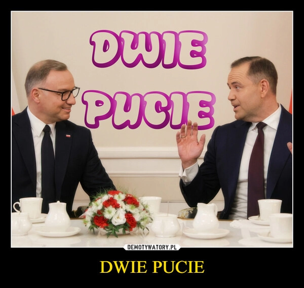 
    DWIE PUCIE