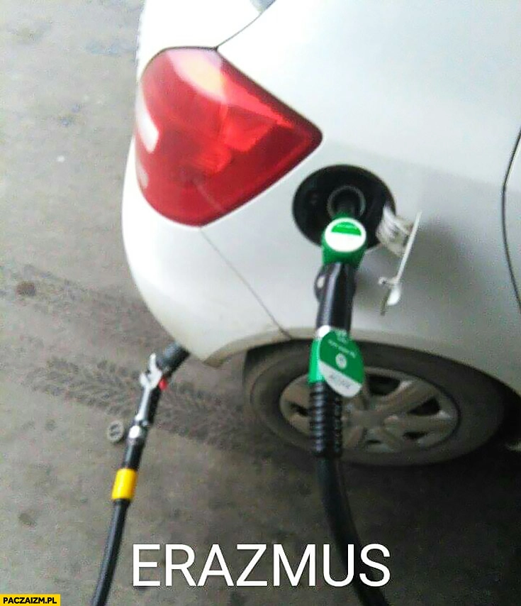 Erazmus tankowanie gazu i benzyny jednocześnie Erasmus