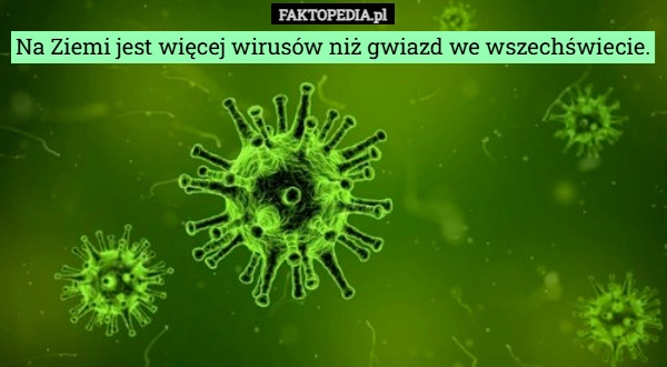 Na Ziemi jest więcej wirusów niż gwiazd we wszechświecie.