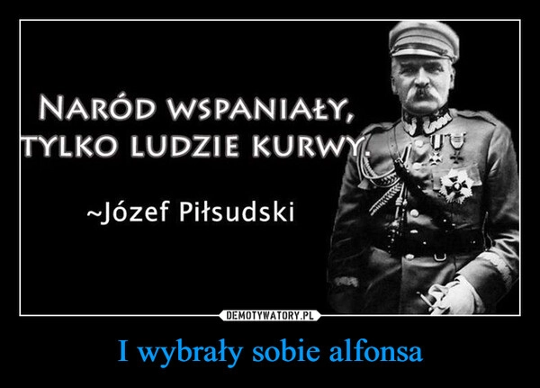 I wybrały sobie alfonsa