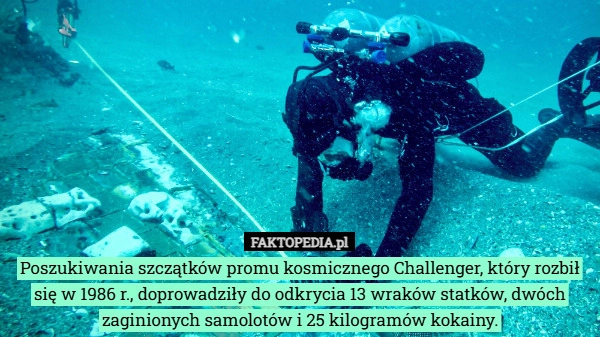 
    Poszukiwania szczątków promu kosmicznego Challenger, który rozbił się w
