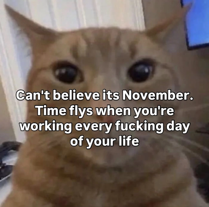 November already feels like yesterday