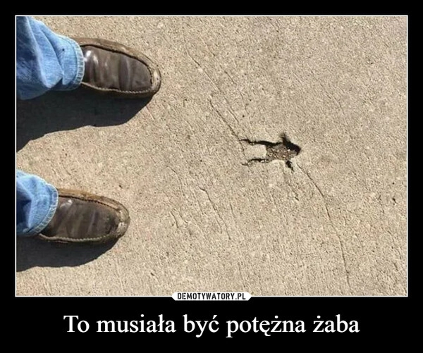 
    To musiała być potężna żaba