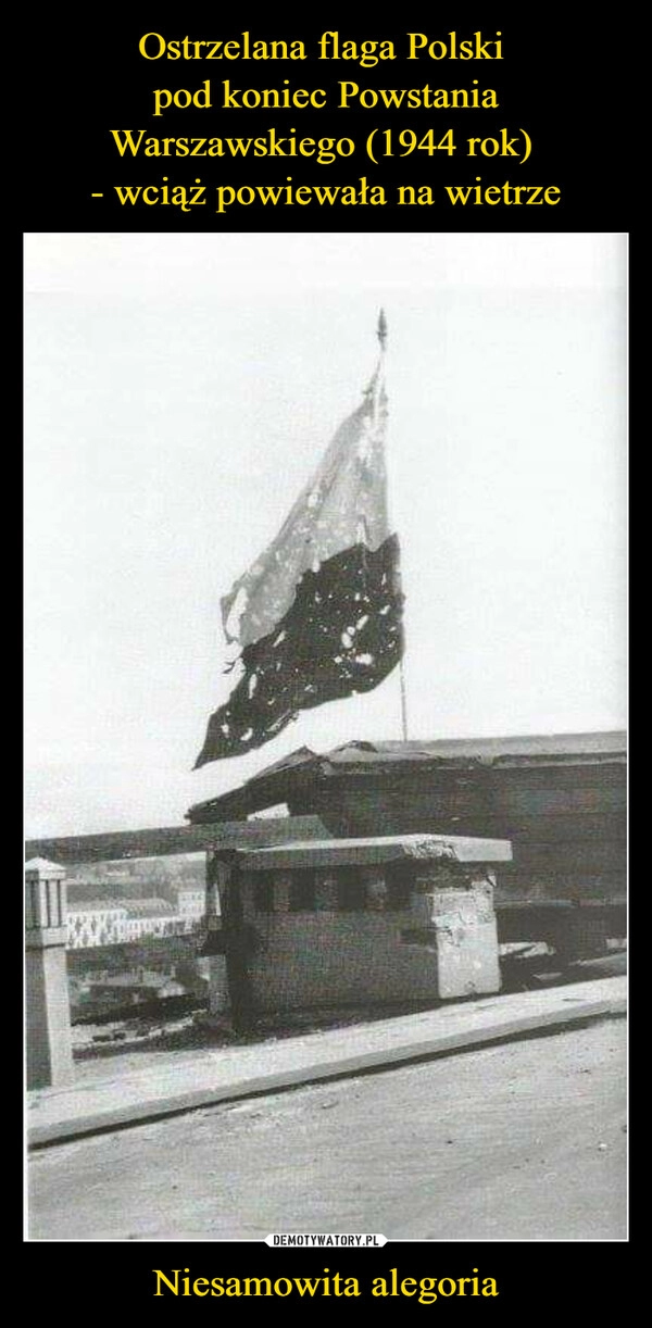 
    
Ostrzelana flaga Polski
pod koniec Powstania Warszawskiego (1944 rok)
- wciąż powiewała na wietrze Niesamowita alegoria 