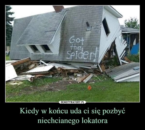 
    Kiedy w końcu uda ci się pozbyć niechcianego lokatora