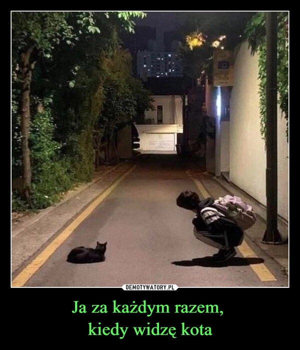 Ja za każdym razem, 
kiedy widzę kota