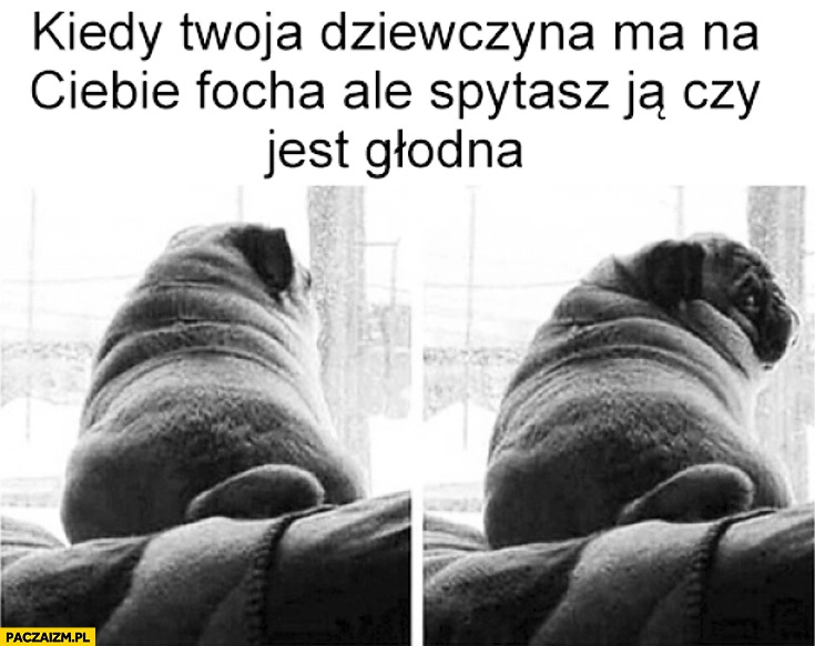 Kiedy Twoja dziewczyna ma na Ciebie focha ale spytasz ją czy jest głodna