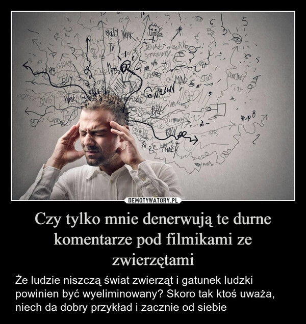 
    Czy tylko mnie denerwują te durne komentarze pod filmikami ze zwierzętami