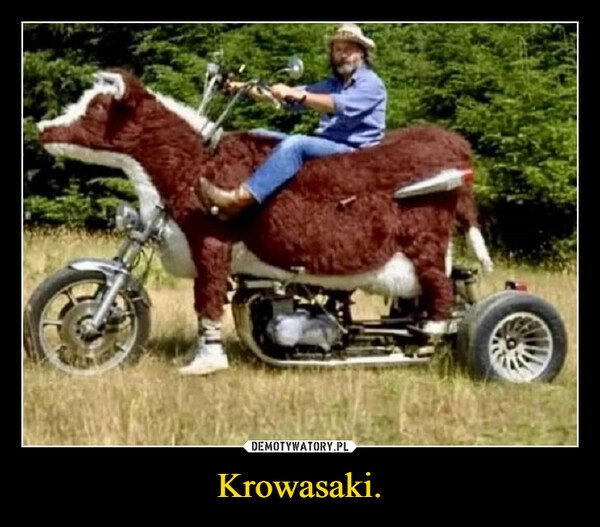 
    Krowasaki.