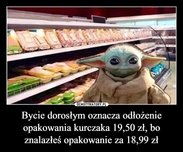 
    Bycie dorosłym oznacza odłożenie opakowania kurczaka 19,50 zł, bo znalazłeś opakowanie za 18,99 zł