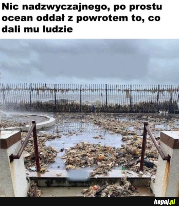 Oddał nie swoje