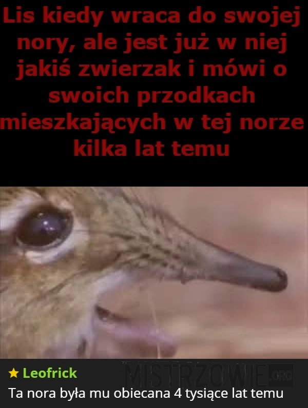 
    Lis