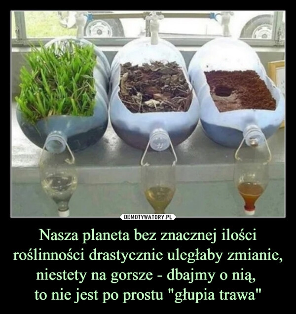 
    Nasza planeta bez znacznej ilości roślinności drastycznie uległaby zmianie, niestety na gorsze - dbajmy o nią, 
to nie jest po prostu "głupia trawa"