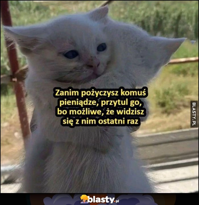 
    Zanim pożyczysz komuś pieniądze, przytul go, bo możliwe, że widzisz się z nim ostatni raz kotek kotki