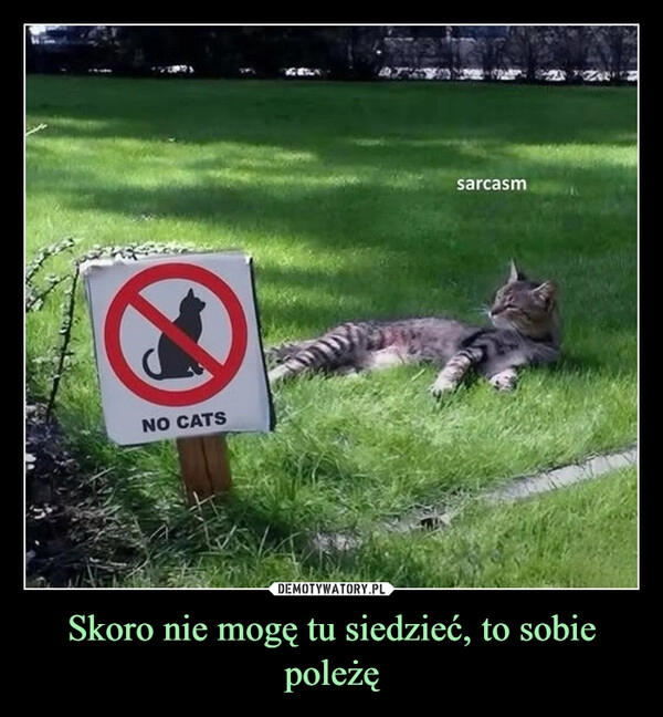
    Skoro nie mogę tu siedzieć, to sobie poleżę
