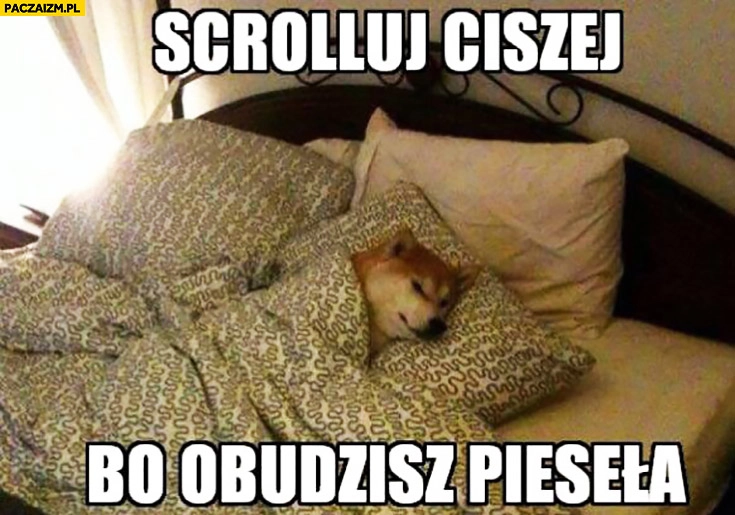 
    Scrolluj ciszej bo obudzisz pieseła