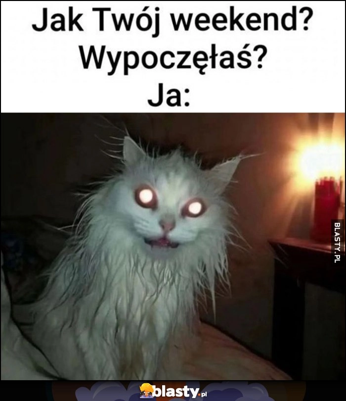 
    Jak Twój weekend? Wypoczęłaś? Ja: zmęczony kot